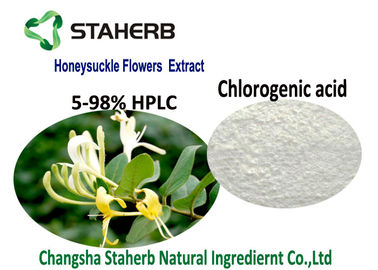中国 有機性自然な化粧品の原料、スイカズラの花のエキスのクロロゲン酸酸5-98% CAS 327 97 9 サプライヤー