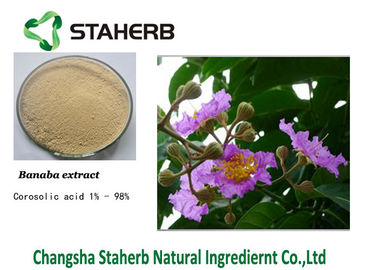 中国 Banabaの純粋で自然な植物のエキスの粉 サプライヤー