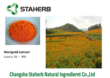 中国 ルテイン127-40-2のマリーゴールドのエキスは植物のエキスの着色剤を集中しました サプライヤー