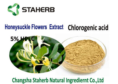 中国 スイカズラの花のクロロゲン酸酸のエキスの薄黄色の粉の食品等級 サプライヤー