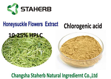 中国 水溶性のスイカズラによってはクロロゲン酸酸の粉5-25%の高性能液体クロマトグラフィーCAS 327が97 9開花します サプライヤー