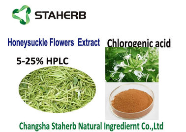 中国 自然な植物のクロロゲン酸酸のエキス反炎症性50-90%HPLC CAS 327 97 9 サプライヤー