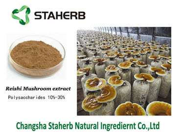 中国 Ganoderma Lucidum Reishiのきのこのエキスのブラウンの粉のトリテルペン1%-20% サプライヤー