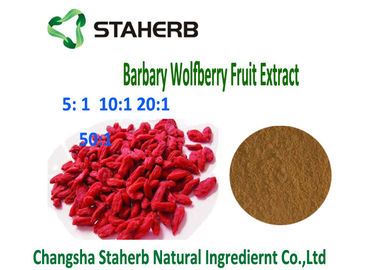 中国 自然なBarbary Wolfberry Gojiの果実のエキス4/1 10/1の比率のブラウンの粉の反腫瘍 サプライヤー