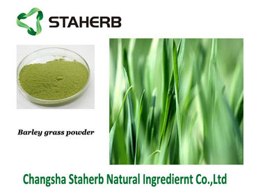 中国 ハーブのオオムギ草ジュースの粉のGineの緑色のスプレー-乾燥された抽出 サプライヤー