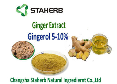 中国 ショウガのエキス5%、10%、20%、胃腸のためのSCFEの二酸化炭素の原料によって50% Gingerol サプライヤー