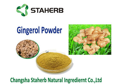 中国 有機性ショウガのエキスの野菜エキスの粉の食糧addtive水溶性の乾燥したショウガの粉 サプライヤー