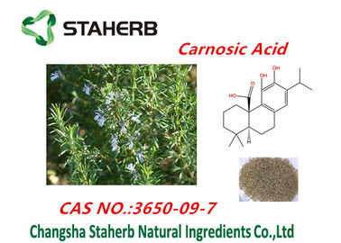 中国 Ursolicの酸、Rosmarinicの酸、Carnosicの酸の粉のローズマリーの葉のエキス サプライヤー