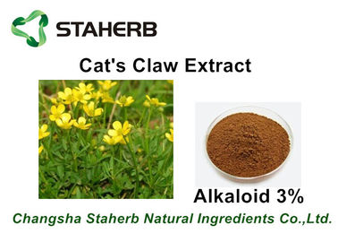中国 Pharmaのための草のエキスの抗菌性猫の爪のエキスのアルカロイド3% - 5% サプライヤー