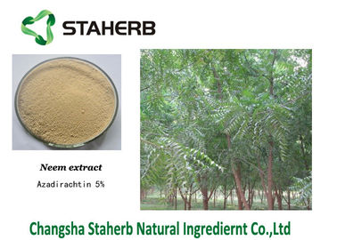 中国 Azadirachtinは植物のエキス、Neemの緑植物のエキスの粉を集中しました サプライヤー
