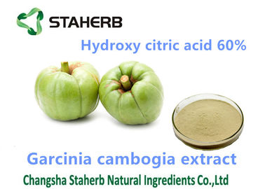 中国 GarciniaのCambogiaのエキスの重量の軽減の粉のHydroxycitricの酸60%の粉 サプライヤー