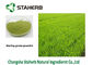 ハーブのオオムギ草ジュースの粉のGineの緑色のスプレー-乾燥された抽出 サプライヤー