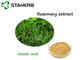 CusmeticプロダクトのためのAntioxdentローズマリーの葉のエキスのUrsolicの酸の粉 サプライヤー