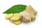 ショウガのエキス5%、10%、20%、胃腸のためのSCFEの二酸化炭素の原料によって50% Gingerol サプライヤー
