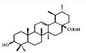 Ursolicの酸、Rosmarinicの酸、Carnosicの酸の粉のローズマリーの葉のエキス サプライヤー