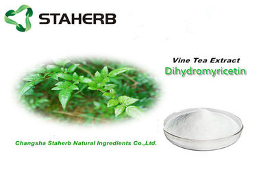 中国 ツルの茶葉の純粋で自然な植物はジヒドロミリセチン 98% CAS 27200-12-0を得ます サプライヤー