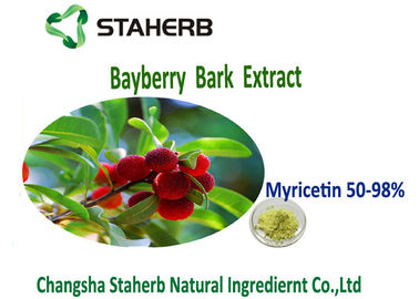 中国 抗酸化のベイベリーの吠え声の粉のエキスの黄色の緑色のMyricetin 50%-98% サプライヤー