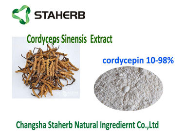 中国 10- 98% Cordycepin自然な有機性冬虫夏草のエキスの粉CAS 73 03 0 サプライヤー