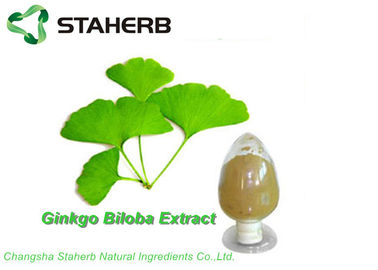 中国 高性能液体クロマトグラフィーによる酸化防止有機性イチョウのビロバの葉のエキスGBE 24%のフラボン6%のラクトン サプライヤー