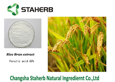 中国 フェルラ酸の米の殻の純粋な草のエキス サプライヤー