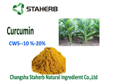 中国 自然なクルクミンの無農薬食品の添加物のウコンの粉CWS -クルクミン10% サプライヤー