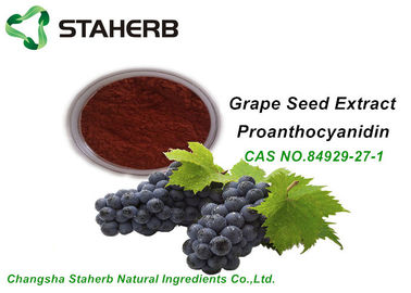 中国 反オキシダントの有機性構造の原料のブドウの種のエキスOPC 95% CAS 84929 27 1 サプライヤー