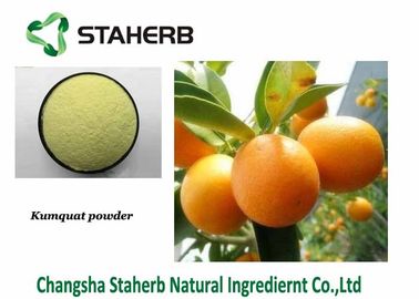 中国 フルーツのキンカンの粉の柑橘類のオーランチウムのエキスの味のインスタント食品の添加物 サプライヤー