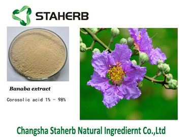 中国 Corosolic酸のBanabaの葉の抗菌性の植物のエキス サプライヤー