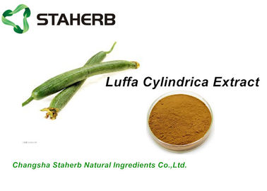 中国 ハーブの自然な化粧品の原料、化粧品の原料のLuffa Cylindricaのエキスの10:1 サプライヤー