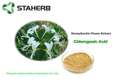 中国 炎症抑制の抗菌性の植物のエキスのスイカズラの花のエキスのChlorogenic酸 サプライヤー