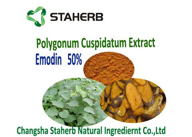 中国 PolygonumのCuspidatumの根のエキスの獣医Phytogenic供給の添加物 サプライヤー