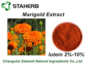 中国 赤いPhytogenic供給の添加物のマリーゴールドのエキスのルテイン2%-10%の粉の着色剤 サプライヤー