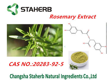 中国 90% Rosmarinic化粧品Cas No.20283-92-5のための酸のローズマリーの葉のエキス サプライヤー