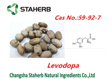中国 集中された植物のMucunaのpruriensはLevodopaの粉cas no.59-92-7を得ます サプライヤー