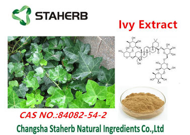 中国 キヅタのエキスの抗菌性の植物はHederacoside cの粉cas no.84082-54-2を得ます サプライヤー