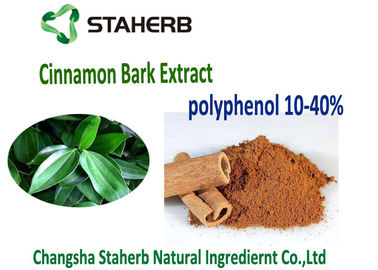 中国 ユダヤの酸化防止サプリメントの桂皮のエキス10-30%のシナモンのポリフェノール サプライヤー