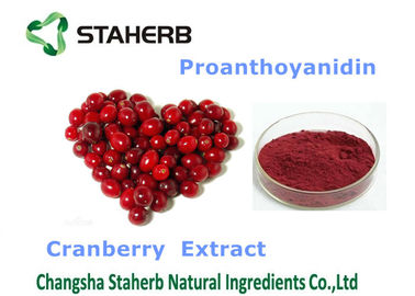 中国 クランベリーのエキスの有機性/自然な酸化防止補足のすみれ色の良い粉 サプライヤー