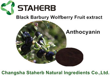 中国 黒いBarbary Wolfberryのフルーツのエキス、飲料のための自然な食糧原料 サプライヤー