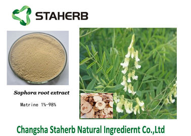 中国 農業分野のSophoraのFlavescensのエキスのMatrine 98%の白い粉 サプライヤー