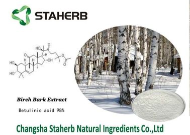 中国 Pharmaの原料のシラカバ吠え声の粉のBetulinの酸の有効成分 サプライヤー