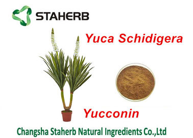 中国 ユッカのSchidigeraのエキスの自然な供給の添加物のYocoinのユッカの粉 サプライヤー