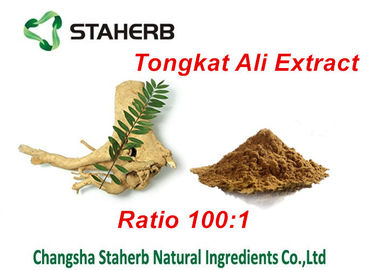 中国 Tongkatアリのエキスの自然な男性の強化の原料、草の男性の強化 サプライヤー