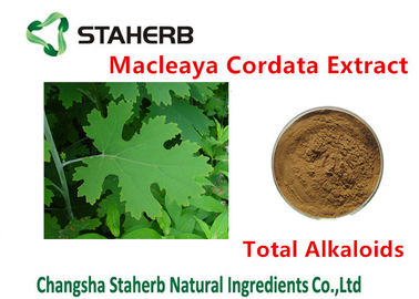 中国 抗菌性の植物のMacleayaのCordataのエキスの合計のアルカロイド20%-60%ブラウン色 サプライヤー
