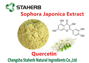 中国 植物のケルセチン98%から化学薬品を得るSophoraのJaponicaのエキス サプライヤー
