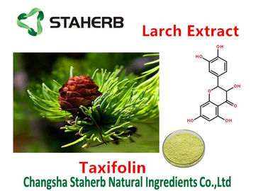 中国 Cas 480-18-2カラマツのエキス無しエキスのTaxifolinすべての自然な80%-98%純度 サプライヤー