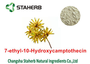 中国 Casの86639-52-3純粋で自然な植物は7 -エチル- 10を- Hydroxycamptothecinの粉得ません サプライヤー