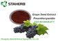 反オキシダントの有機性構造の原料のブドウの種のエキスOPC 95% CAS 84929 27 1 サプライヤー