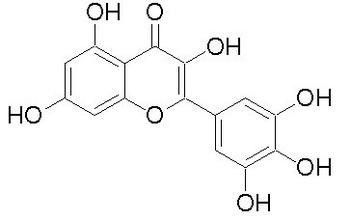 炎症抑制のBayberryの吠え声のエキスのMyricetin 98%の植物のエキスの粉 サプライヤー