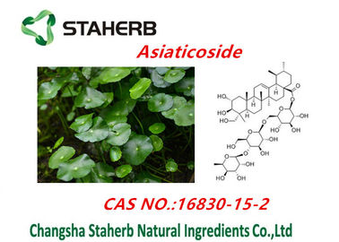 CentellaのAsiaticaエキス/純粋で自然な植物はAsiaticosidesの粉を得ます サプライヤー