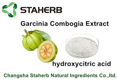 重量の健康な心配のための負けたGarciniaのCambogiaのエキスのHydroxycitricの酸HCA サプライヤー